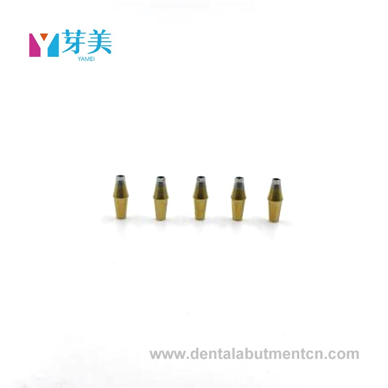 Protez Abutment: Dental İmplantların 